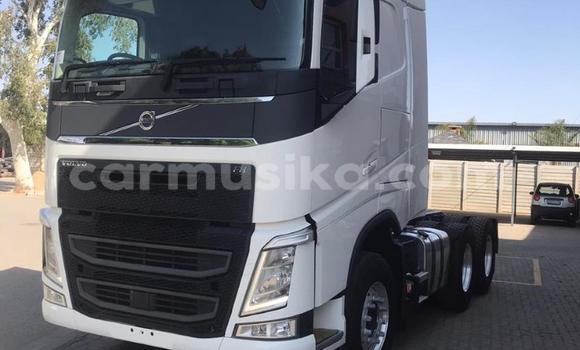 Tenga Tsaru Volvo F4 Chena Rori in Harare in Harare Tenga Tsaru Volvo F4 Chena Rori in Harare in Harare
