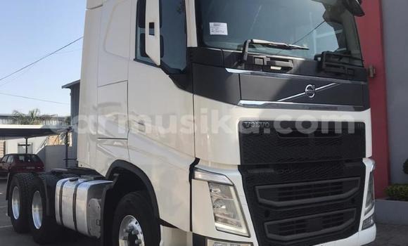 Tenga Tsaru Volvo F4 Chena Rori in Harare in Harare Tenga Tsaru Volvo F4 Chena Rori in Harare in Harare