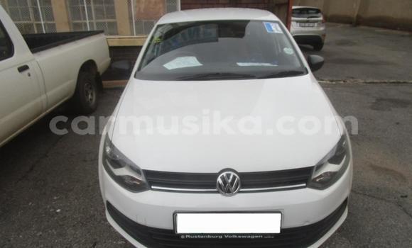 Tenga Tsaru Volkswagen Polo Chena Mota in Beitbridge in Matabeleland South