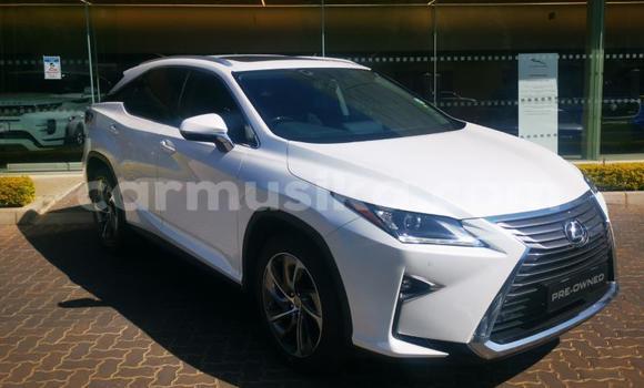 Buy Used Lexus RX White Car in Harare in Harare