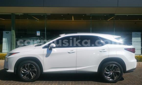 Acheter Occasion Voiture Lexus RX Blanc à Harare, Harare Acheter Occasion Voiture Lexus RX Blanc à Harare, Harare