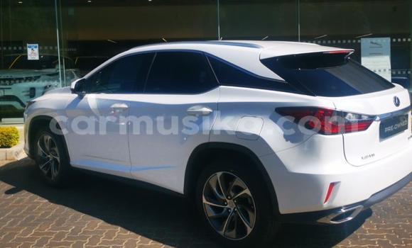 Acheter Occasion Voiture Lexus RX Blanc à Harare, Harare Acheter Occasion Voiture Lexus RX Blanc à Harare, Harare