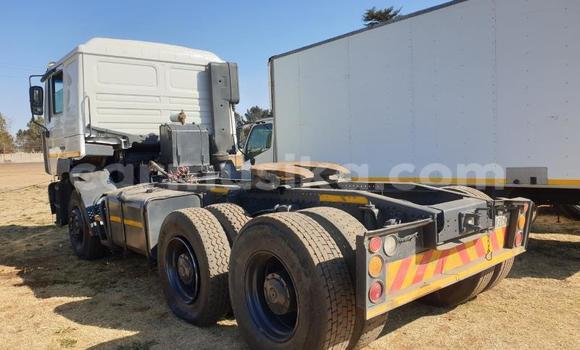 Nunua Ilio tumika Man D20 Nyeupe Lori ndani ya Beitbridge nchini Matabeleland Kusini Nunua Ilio tumika Man D20 Nyeupe Lori ndani ya Beitbridge nchini Matabeleland Kusini