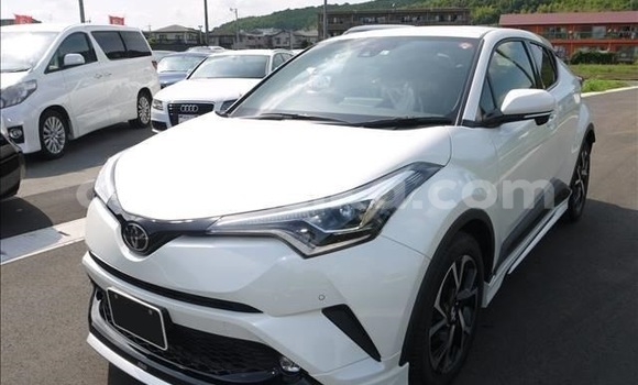Acheter Occasion Voiture Toyota C-HR Blanc à Beitbridge, Matabeleland South