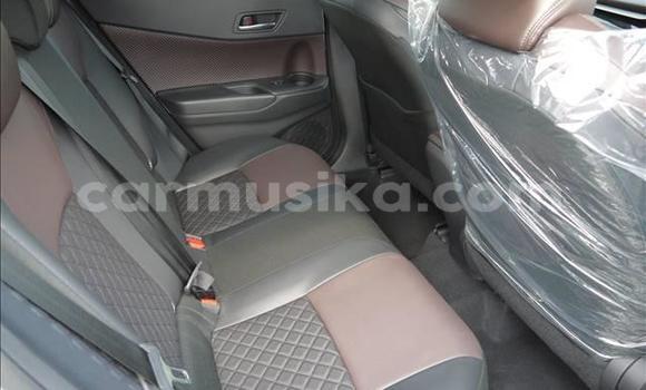 Nunua Ilio tumika Toyota C-HR Nyeupe Gari ndani ya Beitbridge nchini Matabeleland Kusini Nunua Ilio tumika Toyota C-HR Nyeupe Gari ndani ya Beitbridge nchini Matabeleland Kusini