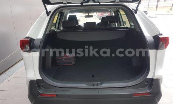 Acheter Occasion Voiture Toyota Rush Blanc à Bulawayo, Bulawayo Acheter Occasion Voiture Toyota Rush Blanc à Bulawayo, Bulawayo