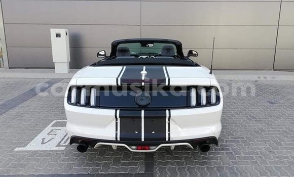 Tenga Tsaru Ford Mustang Chena Mota in Beitbridge in Matabeleland South Tenga Tsaru Ford Mustang Chena Mota in Beitbridge in Matabeleland South