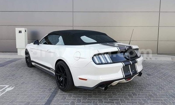 Tenga Tsaru Ford Mustang Chena Mota in Beitbridge in Matabeleland South Tenga Tsaru Ford Mustang Chena Mota in Beitbridge in Matabeleland South