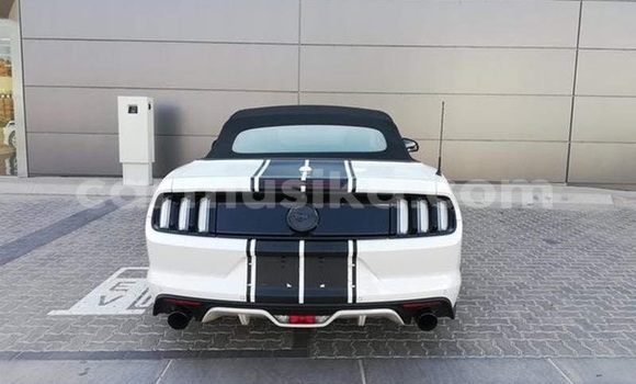 Tenga Tsaru Ford Mustang Chena Mota in Beitbridge in Matabeleland South Tenga Tsaru Ford Mustang Chena Mota in Beitbridge in Matabeleland South