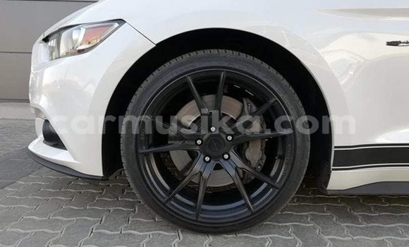 Tenga Tsaru Ford Mustang Chena Mota in Beitbridge in Matabeleland South Tenga Tsaru Ford Mustang Chena Mota in Beitbridge in Matabeleland South