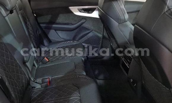 Acheter Occasion Voiture Audi Q8 Gris à Beitbridge, Matabeleland South Acheter Occasion Voiture Audi Q8 Gris à Beitbridge, Matabeleland South