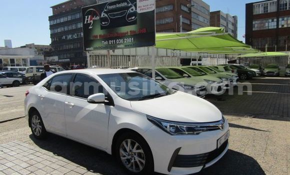 Buy Used Toyota Corolla White Car in Beitbridge in Matabeleland South