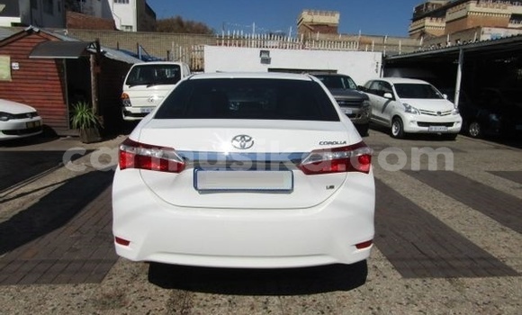 Buy Used Toyota Corolla White Car in Beitbridge in Matabeleland South Buy Used Toyota Corolla White Car in Beitbridge in Matabeleland South