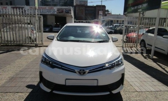 Buy Used Toyota Corolla White Car in Beitbridge in Matabeleland South Buy Used Toyota Corolla White Car in Beitbridge in Matabeleland South