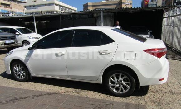 Buy Used Toyota Corolla White Car in Beitbridge in Matabeleland South Buy Used Toyota Corolla White Car in Beitbridge in Matabeleland South