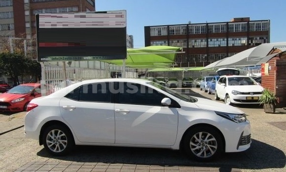 Buy Used Toyota Corolla White Car in Beitbridge in Matabeleland South Buy Used Toyota Corolla White Car in Beitbridge in Matabeleland South