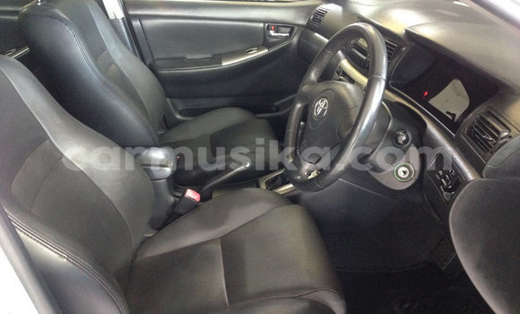 Buy Used Toyota Runx Silver Car in Chegutu in Mashonaland West Buy Used Toyota Runx Silver Car in Chegutu in Mashonaland West