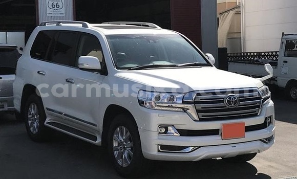 Buy Used Toyota Land Cruiser White Car in Beitbridge in Matabeleland South
