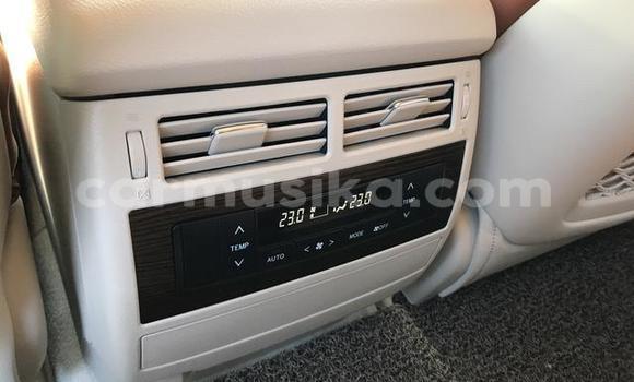 Tenga Tsaru Toyota Land Cruiser Chena Mota in Beitbridge in Matabeleland South Tenga Tsaru Toyota Land Cruiser Chena Mota in Beitbridge in Matabeleland South