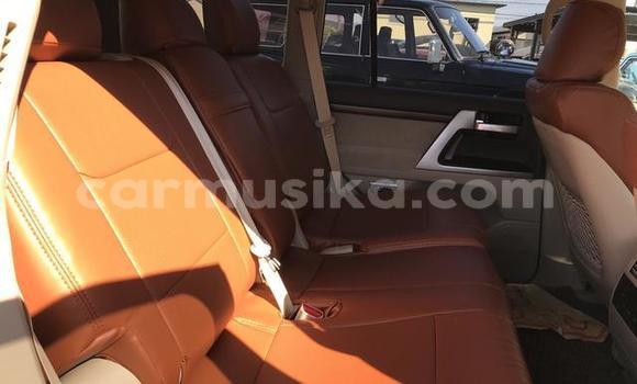 Tenga Tsaru Toyota Land Cruiser Chena Mota in Beitbridge in Matabeleland South Tenga Tsaru Toyota Land Cruiser Chena Mota in Beitbridge in Matabeleland South