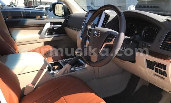 Tenga Tsaru Toyota Land Cruiser Chena Mota in Beitbridge in Matabeleland South Tenga Tsaru Toyota Land Cruiser Chena Mota in Beitbridge in Matabeleland South