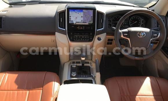 Tenga Tsaru Toyota Land Cruiser Chena Mota in Beitbridge in Matabeleland South Tenga Tsaru Toyota Land Cruiser Chena Mota in Beitbridge in Matabeleland South