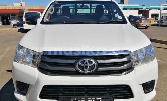 Tenga Tsaru Toyota Hilux Chena Mota in Beitbridge in Matabeleland South