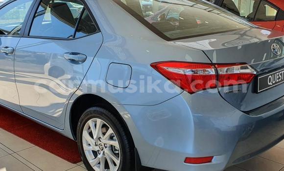 Acheter Occasion Voiture Toyota Corolla Autre à Beitbridge, Matabeleland South Acheter Occasion Voiture Toyota Corolla Autre à Beitbridge, Matabeleland South