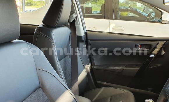 Acheter Occasion Voiture Toyota Corolla Autre à Beitbridge, Matabeleland South Acheter Occasion Voiture Toyota Corolla Autre à Beitbridge, Matabeleland South