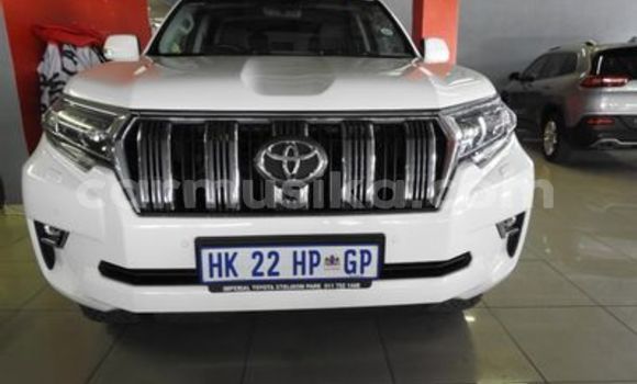 Nunua Ilio tumika Toyota Prado Nyeupe Gari ndani ya Harare nchini Harare