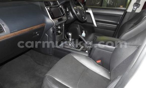 Tenga Tsaru Toyota Prado Chena Mota in Harare in Harare Tenga Tsaru Toyota Prado Chena Mota in Harare in Harare