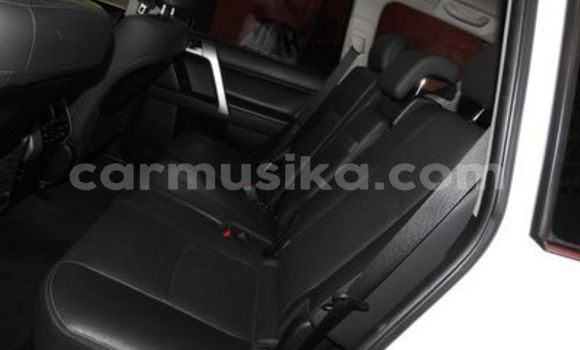 Tenga Tsaru Toyota Prado Chena Mota in Harare in Harare Tenga Tsaru Toyota Prado Chena Mota in Harare in Harare