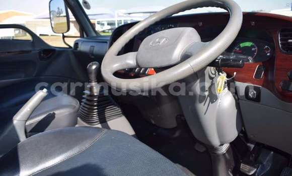 Tenga Tsaru Hyundai H200 Chena Rori in Beitbridge in Matabeleland South Tenga Tsaru Hyundai H200 Chena Rori in Beitbridge in Matabeleland South