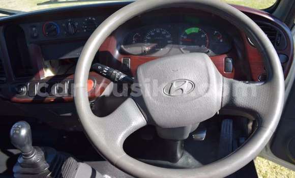 Tenga Tsaru Hyundai H200 Chena Rori in Beitbridge in Matabeleland South Tenga Tsaru Hyundai H200 Chena Rori in Beitbridge in Matabeleland South