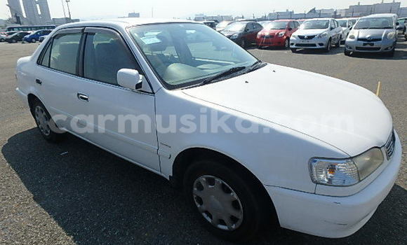 Nunua Ilio tumika Toyota Corolla Nyingine Gari ndani ya Beitbridge nchini Matabeleland Kusini