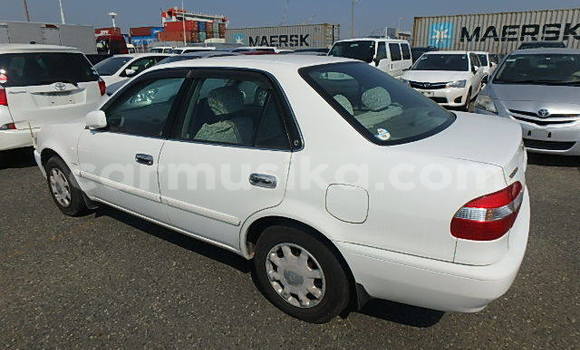 Buy Used Toyota Corolla Other Car in Beitbridge in Matabeleland South Buy Used Toyota Corolla Other Car in Beitbridge in Matabeleland South