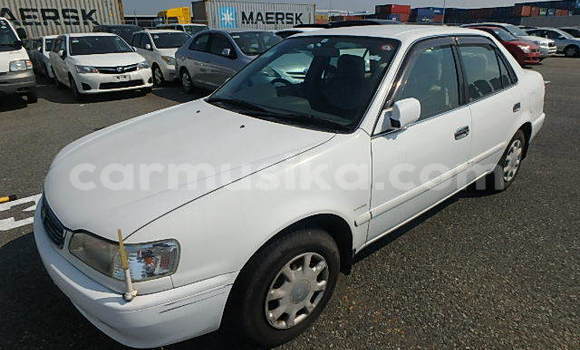 Buy Used Toyota Corolla Other Car in Beitbridge in Matabeleland South Buy Used Toyota Corolla Other Car in Beitbridge in Matabeleland South