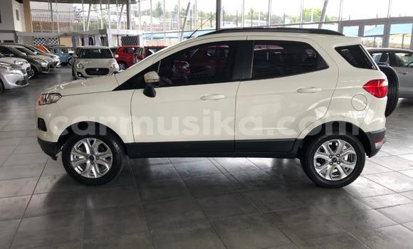Buy Used Ford EcoSport White Car in Beitbridge in Matabeleland South Buy Used Ford EcoSport White Car in Beitbridge in Matabeleland South