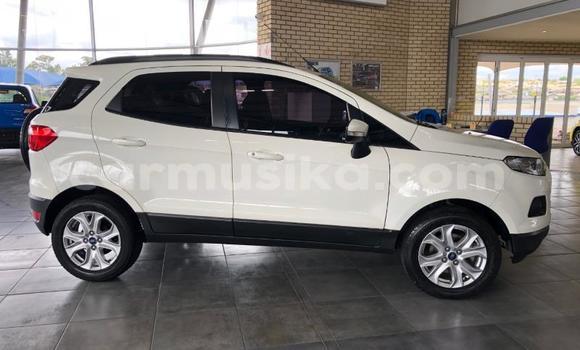 Buy Used Ford EcoSport White Car in Beitbridge in Matabeleland South Buy Used Ford EcoSport White Car in Beitbridge in Matabeleland South