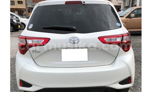 Acheter Occasion Voiture Toyota Vitz Blanc à Beitbridge, Matabeleland South Acheter Occasion Voiture Toyota Vitz Blanc à Beitbridge, Matabeleland South