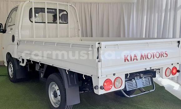 Acheter Occasion Utilitaire Kia K2700 Blanc à Beitbridge, Matabeleland South Acheter Occasion Utilitaire Kia K2700 Blanc à Beitbridge, Matabeleland South
