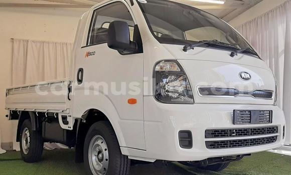 Acheter Occasion Utilitaire Kia K2700 Blanc à Beitbridge, Matabeleland South Acheter Occasion Utilitaire Kia K2700 Blanc à Beitbridge, Matabeleland South
