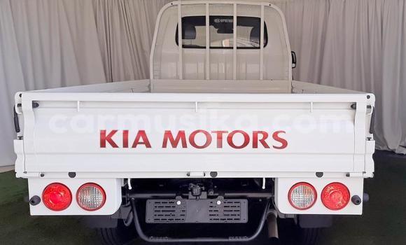 Buy Used Kia K2700 White Truck in Beitbridge in Matabeleland South Buy Used Kia K2700 White Truck in Beitbridge in Matabeleland South