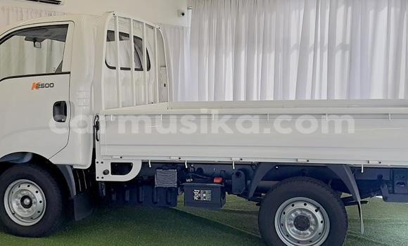 Buy Used Kia K2700 White Truck in Beitbridge in Matabeleland South Buy Used Kia K2700 White Truck in Beitbridge in Matabeleland South