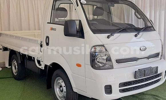 Buy Used Kia K2700 White Truck in Beitbridge in Matabeleland South Buy Used Kia K2700 White Truck in Beitbridge in Matabeleland South