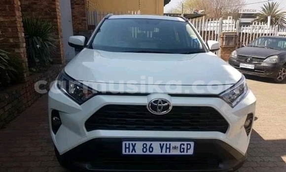 Buy Used Toyota Hilux White Car in Beitbridge in Matabeleland South Buy Used Toyota Hilux White Car in Beitbridge in Matabeleland South