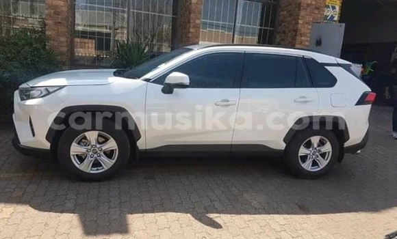 Buy Used Toyota Hilux White Car in Beitbridge in Matabeleland South Buy Used Toyota Hilux White Car in Beitbridge in Matabeleland South