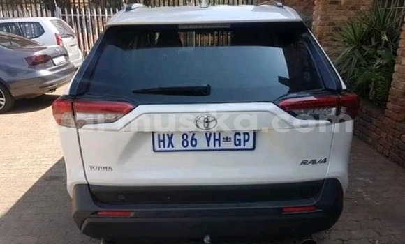 Buy Used Toyota Hilux White Car in Beitbridge in Matabeleland South Buy Used Toyota Hilux White Car in Beitbridge in Matabeleland South