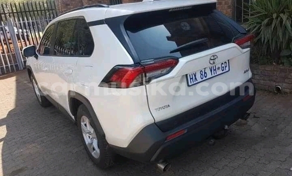 Buy Used Toyota Hilux White Car in Beitbridge in Matabeleland South Buy Used Toyota Hilux White Car in Beitbridge in Matabeleland South