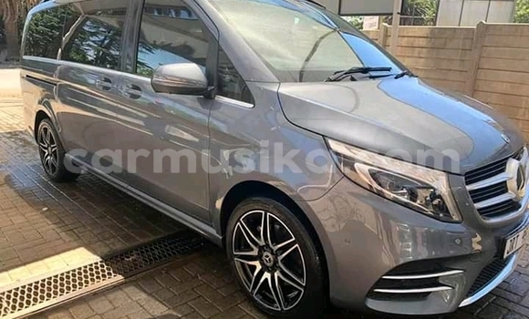 Buy Used Mercedes‒Benz Vito Silver Car in Beitbridge in Matabeleland South Buy Used Mercedes‒Benz Vito Silver Car in Beitbridge in Matabeleland South